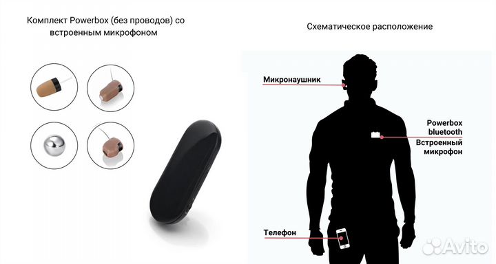 Микронаушник Купить Аренда