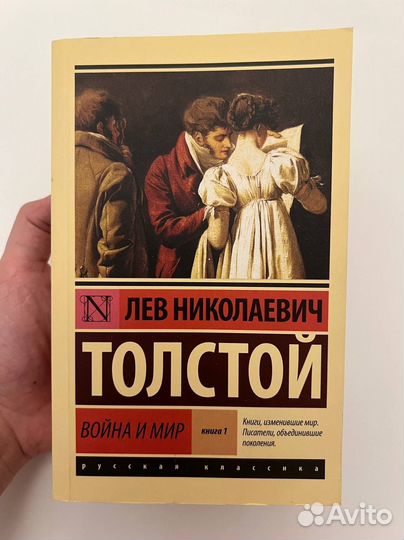 Война и мир 1 том