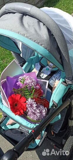 Коляска 2 в 1