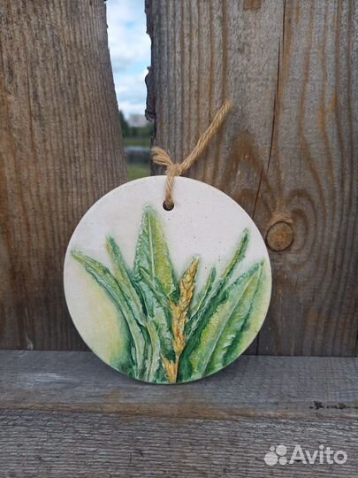 Ботанический барельеф