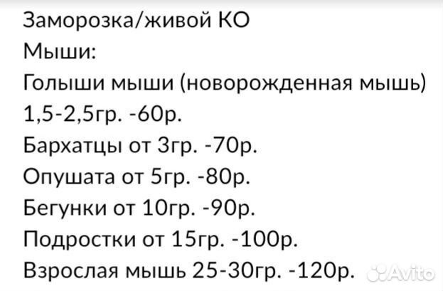 Мыши, крысы на корм/для содержания