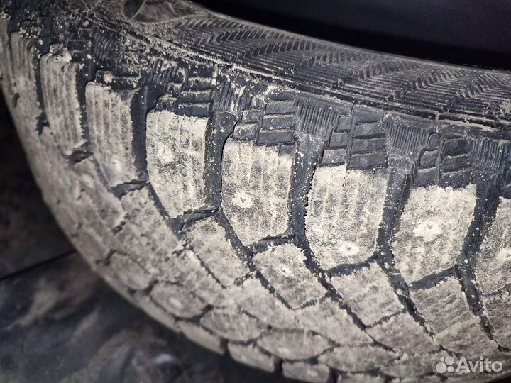 Gislaved Nord Frost 200 195/55 R16 91M