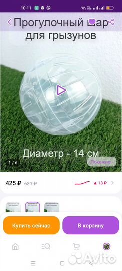 Прогулочный шар для грызунов