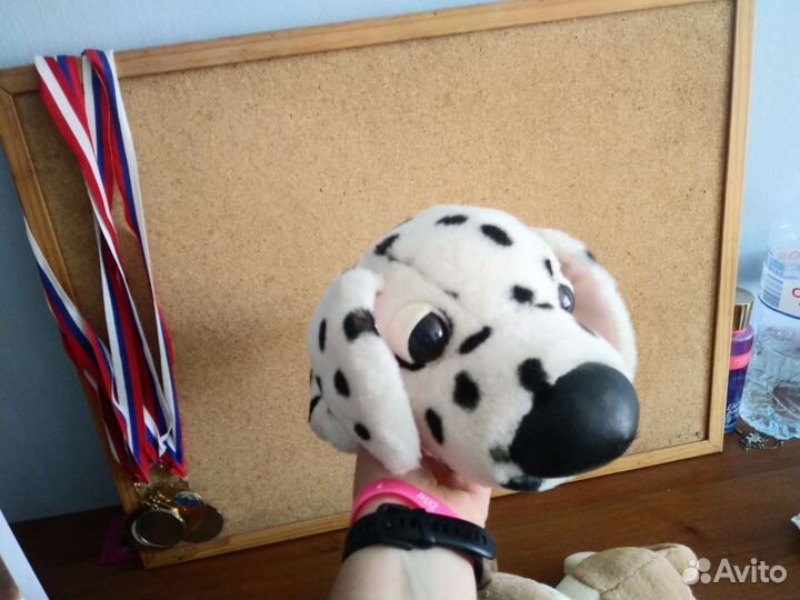 Собаки и Кони из карусели