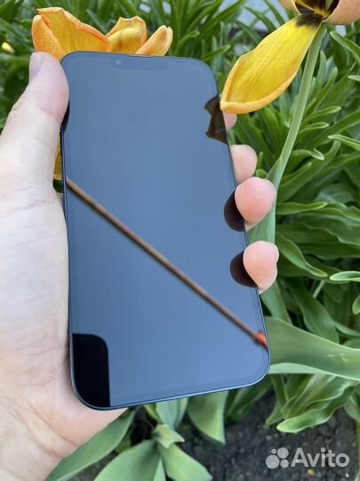 iPhone 13, 256 ГБ