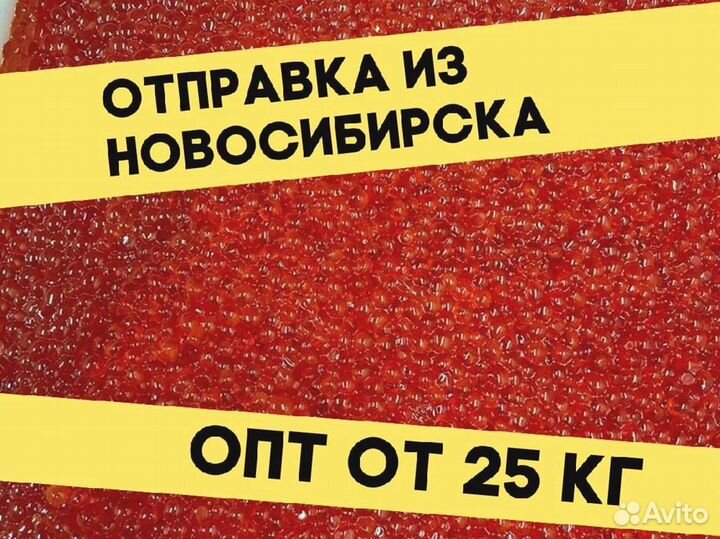 Икра красная нерки, улов июнь 2023 года