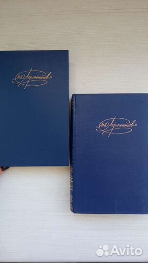 Лермонтов, стихотворения и поэмы, 2 тома