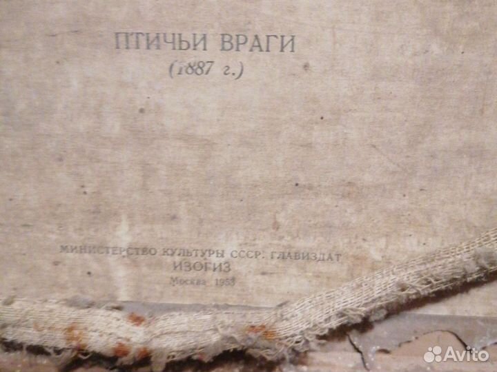 Картина птичьи враги репродукция 1953 г