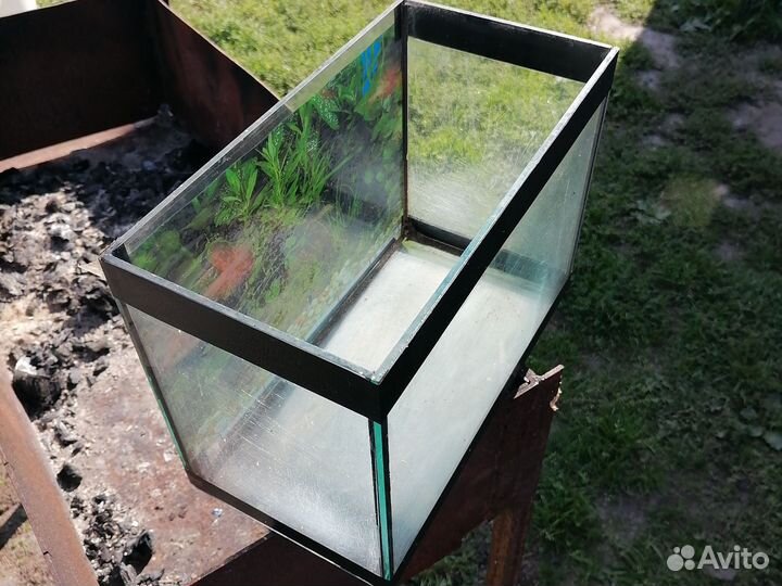 Аквариум 10 литров
