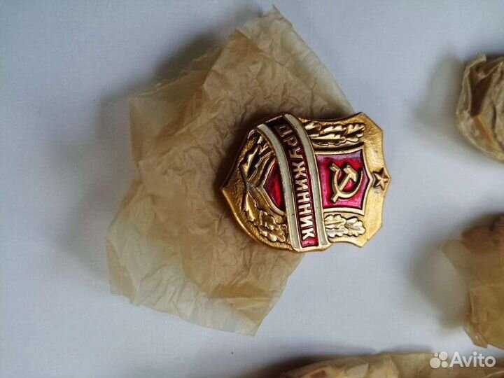 Значок Дружинник