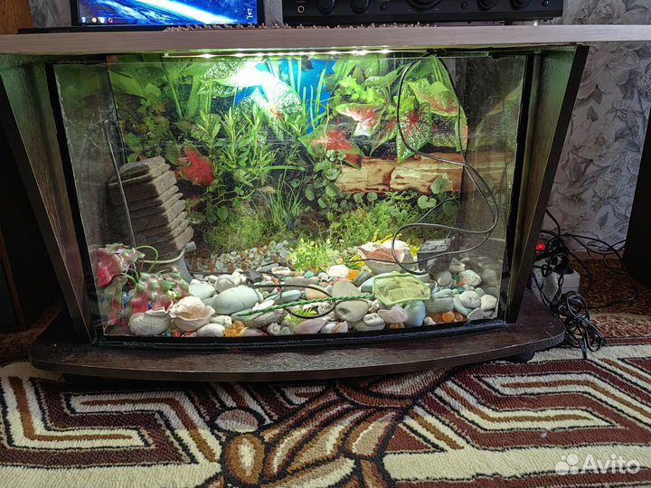 Аквариум