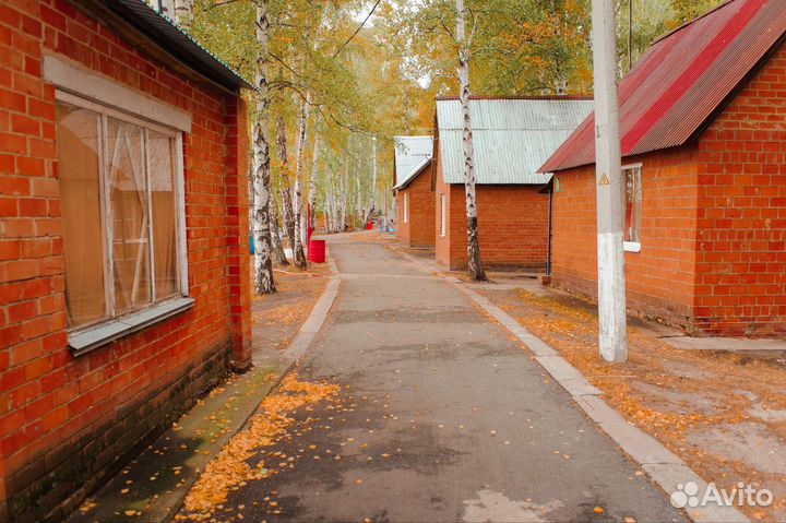 Разноробочий