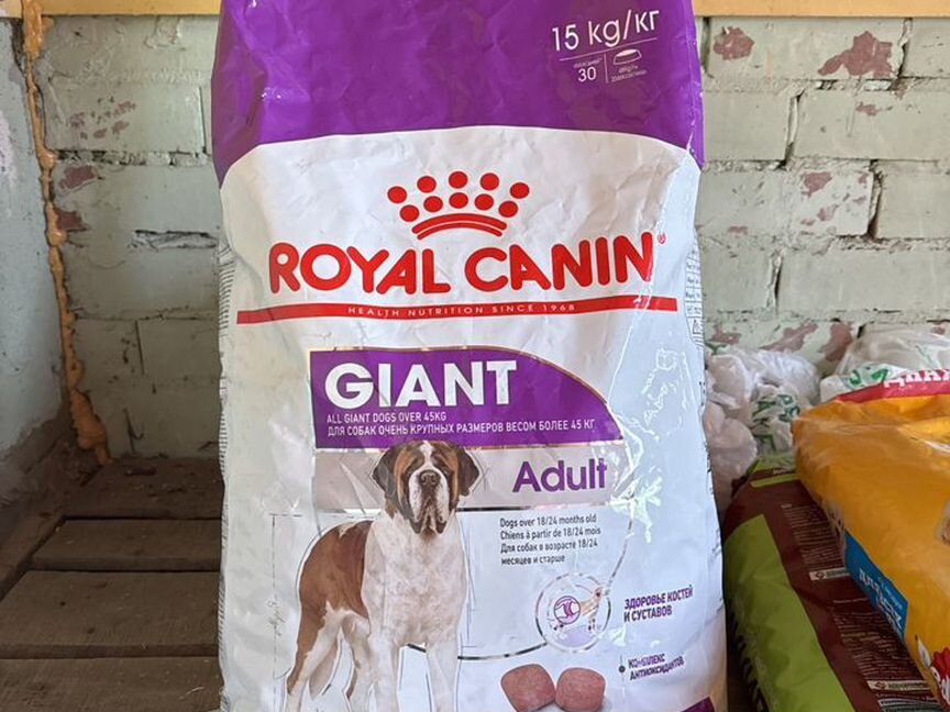 Сухой корм для собак royal canin