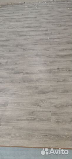 Отдам бесплатно