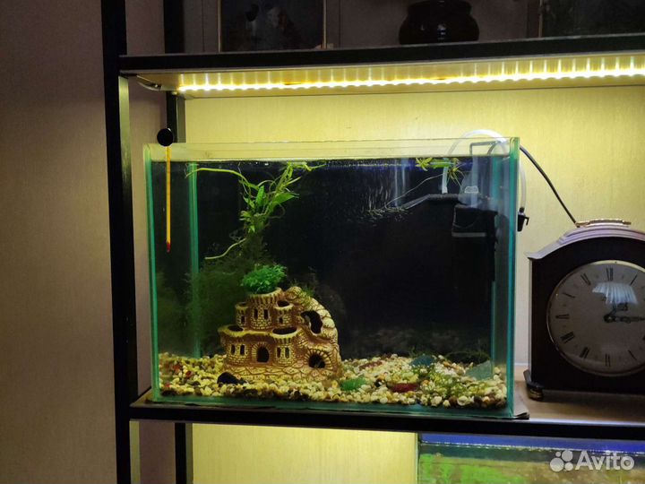 Аквариум