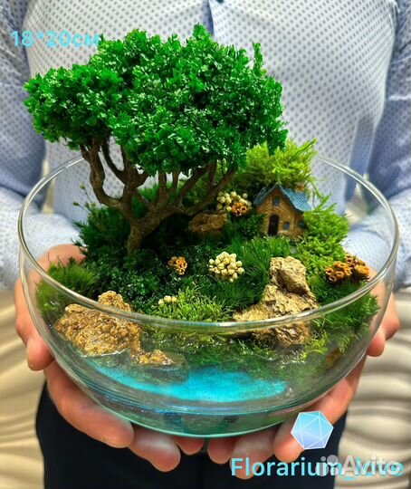 Моссариум бонсай