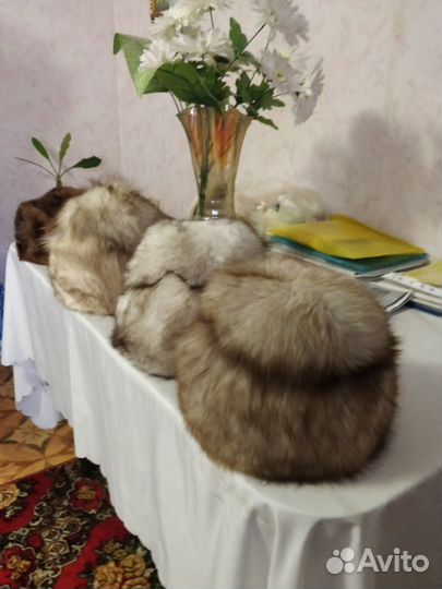 Продам шапки из песца