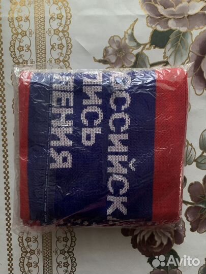 Рефлективная жилетка и шарф «Перепись 2020»