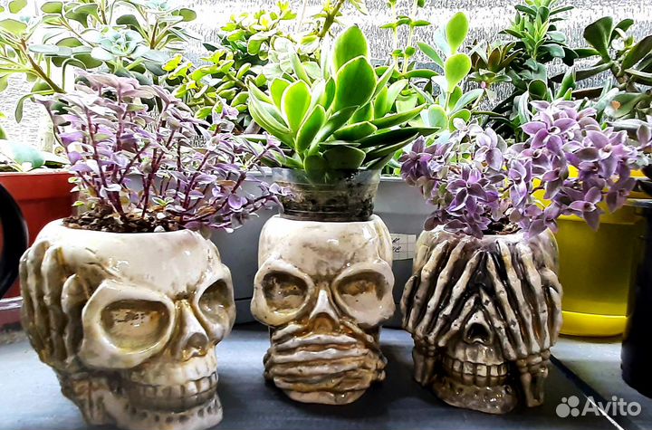 Кашпо,подарок,цветы