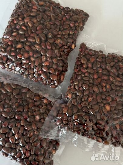 Орех кедровый урожай 2023