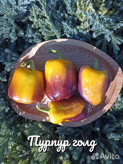 Семена коллекционных сортов сладкого перца