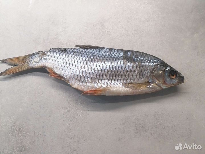 Рыба вяленая - плотва, окунь