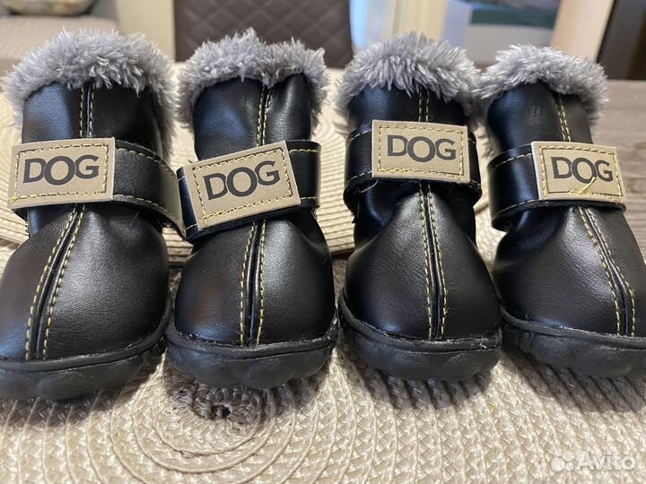 Обувь для собак
