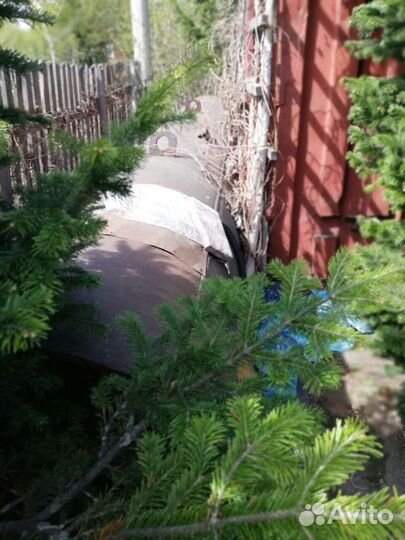 Цистерна для дачи