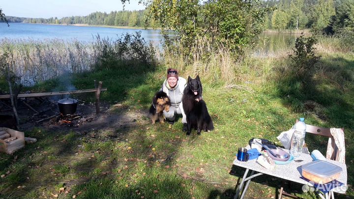 Грюнендаль