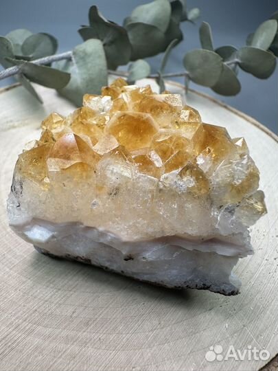 Друза Цитрина