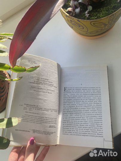 Книга Дж.Д.Селинджер Над пропастью во ржи