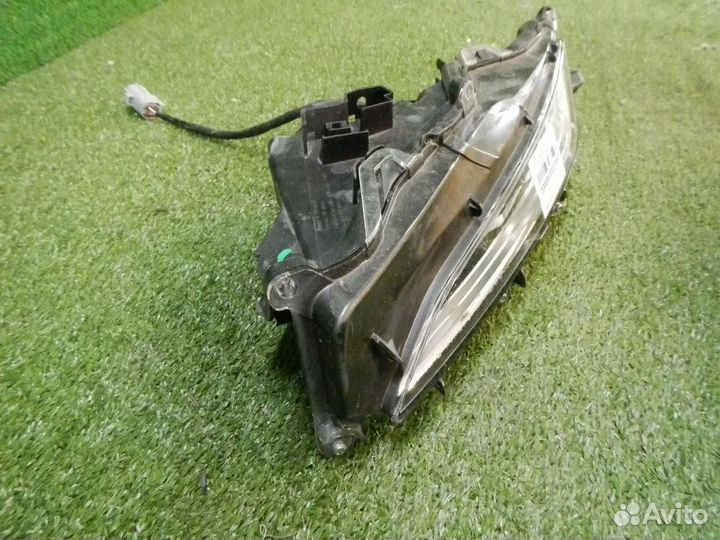 Птф левая Lexus RX 4 (2019-н.в.)