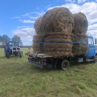 Сено в рулонах