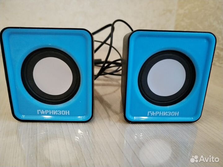 Колонки.Акустическая система 2.0 Гарнизон