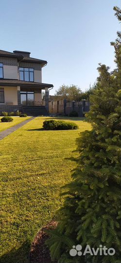 Рулонный газон