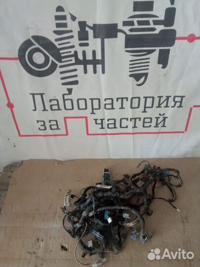 Проводка двигателя Ford Focus 2