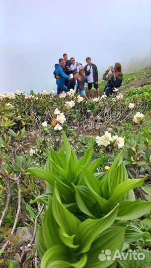 Экскурсия на Красную поляну