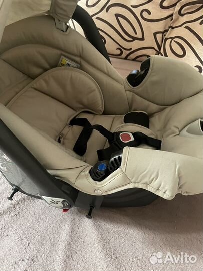 Многомодульная Коляска Neonato Neosport Fit 3в1