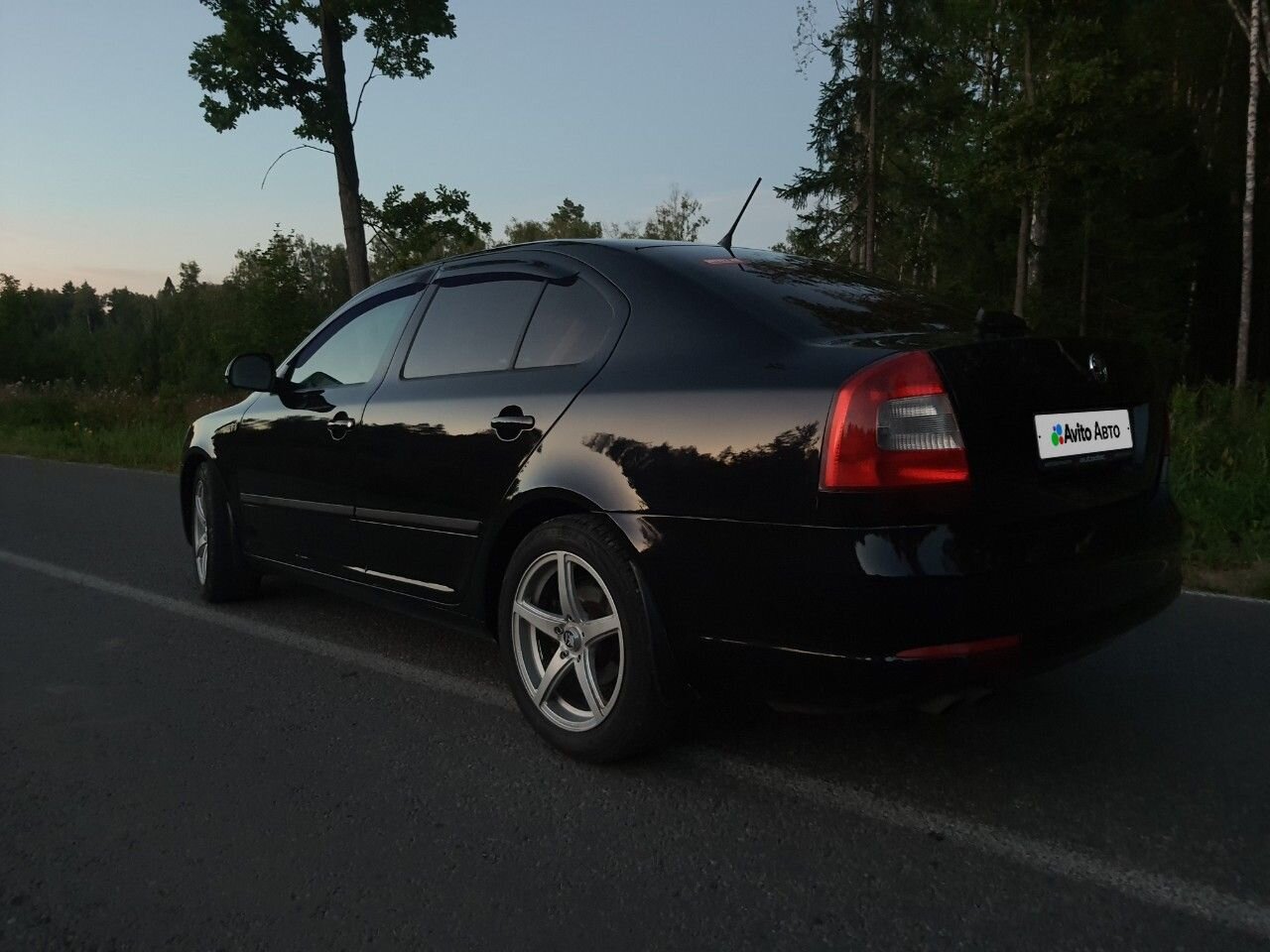 Skoda Octavia: фото владельца