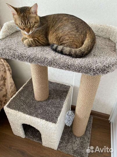 Домик для кошки/ когтеточка/ когтедралка