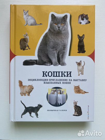 Энциклопедия кошки