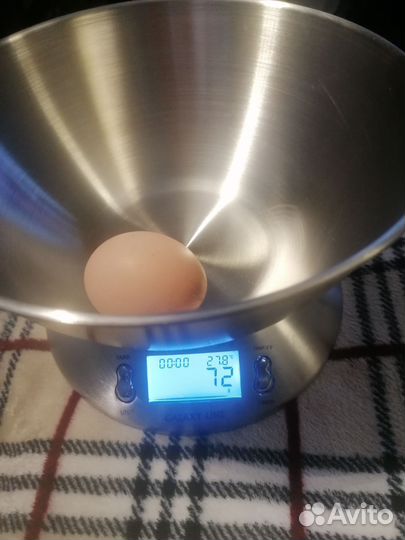 Яйцо домашнее