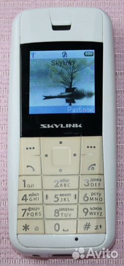 Телефон SkyLink Simple + модем SkyLink AirPlus