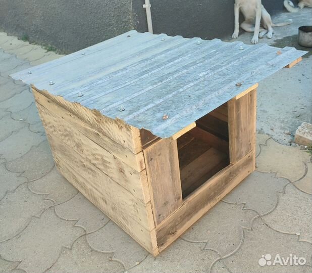 Щенок девочка в добрые руки с будкой