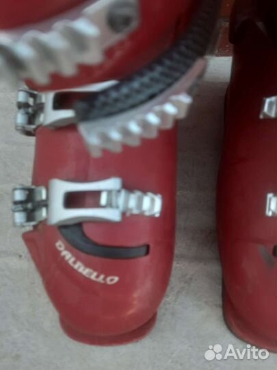 Горные лыжи с ботинками dalbello