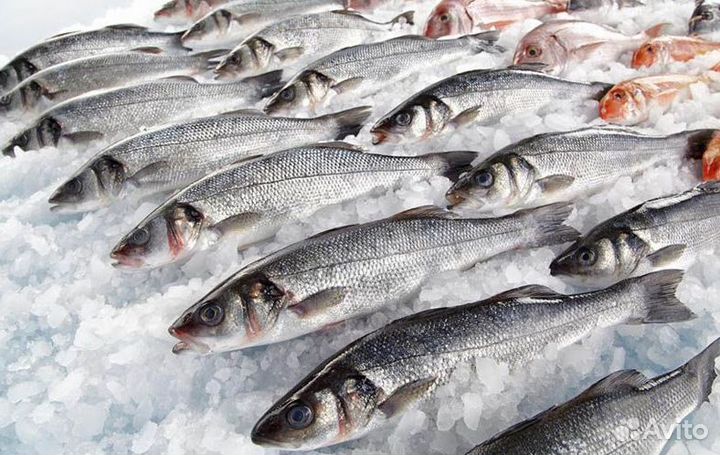 Франшиза: бизнес с поддержкой