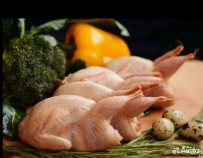 Мясо перепела, яйцо, утки, куры, индейка