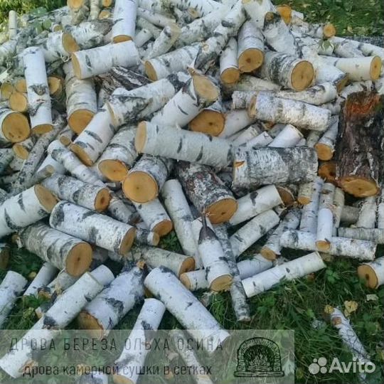 Дрова осиновые хвойные навалом