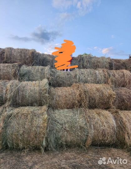 Сено, солома, люцерна