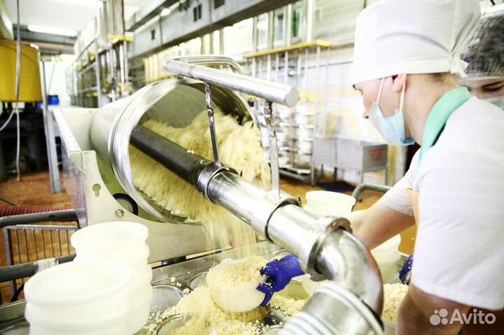 Подработка /оплата Ежедневно(маслозавод)